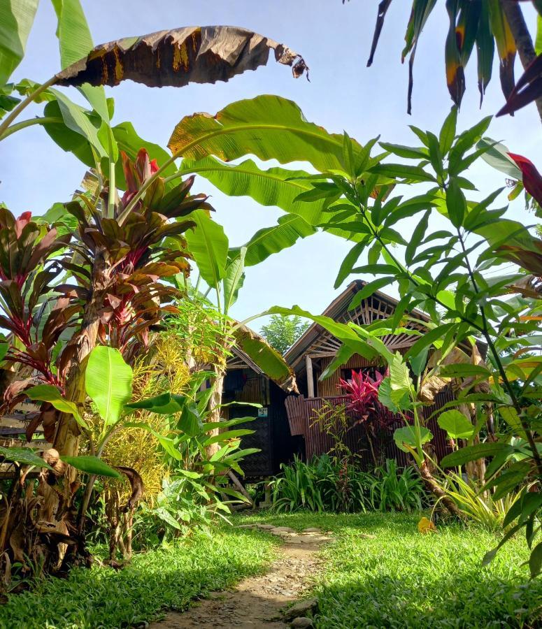 Banana Grove El Nido Hotel Bagian luar foto