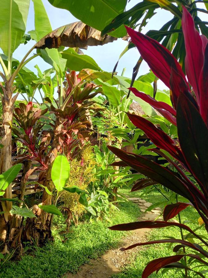 Banana Grove El Nido Hotel Bagian luar foto